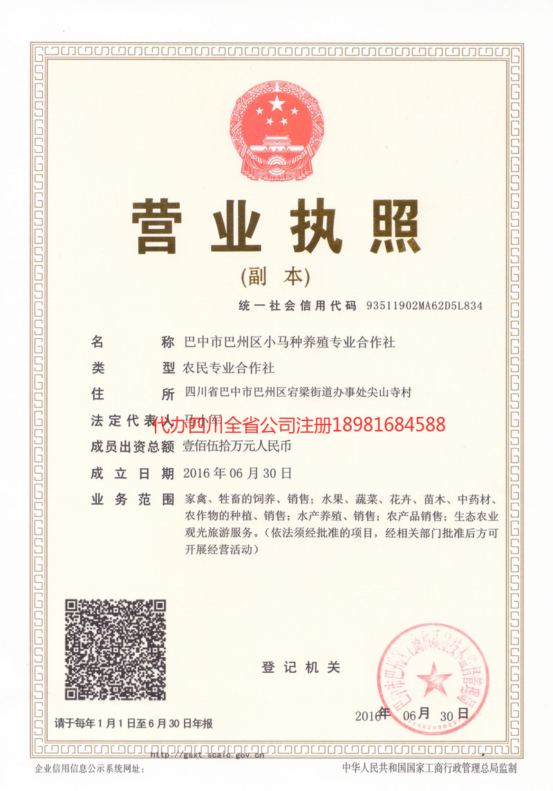 英德英德小马种养殖专业合作社